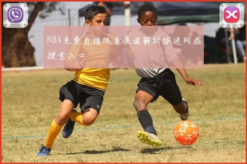 NBA免费直播观看渠道解析球迷网成搜索入口