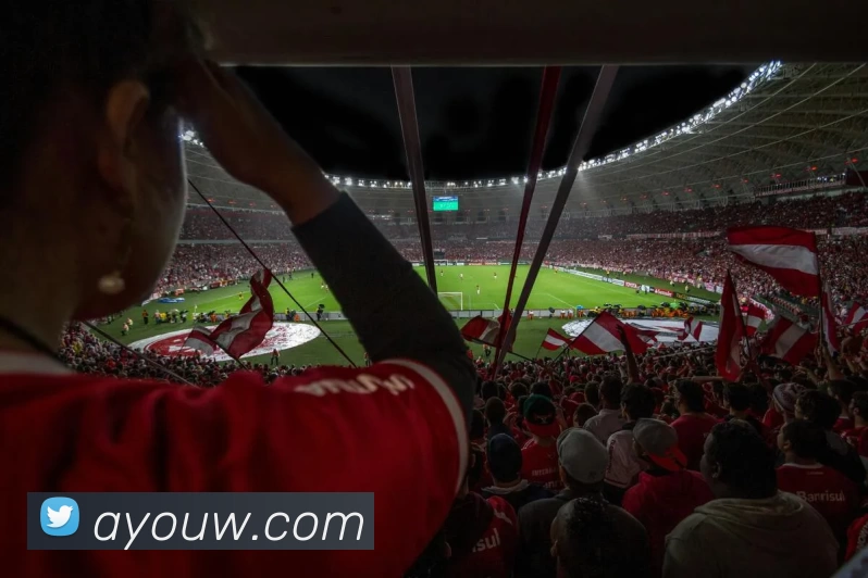 多媒体互动体验